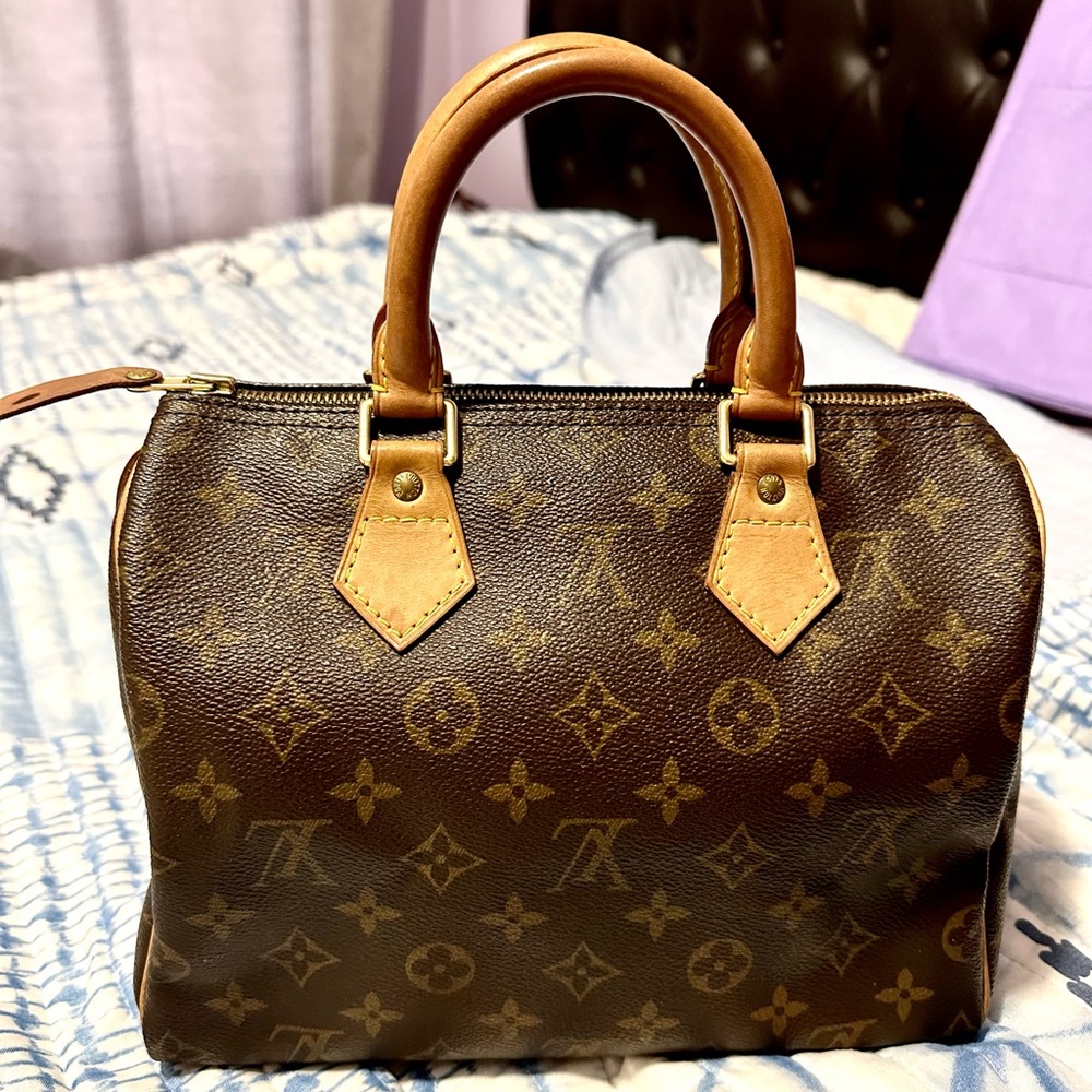 Louis Vuitton Speedy 25 handbag